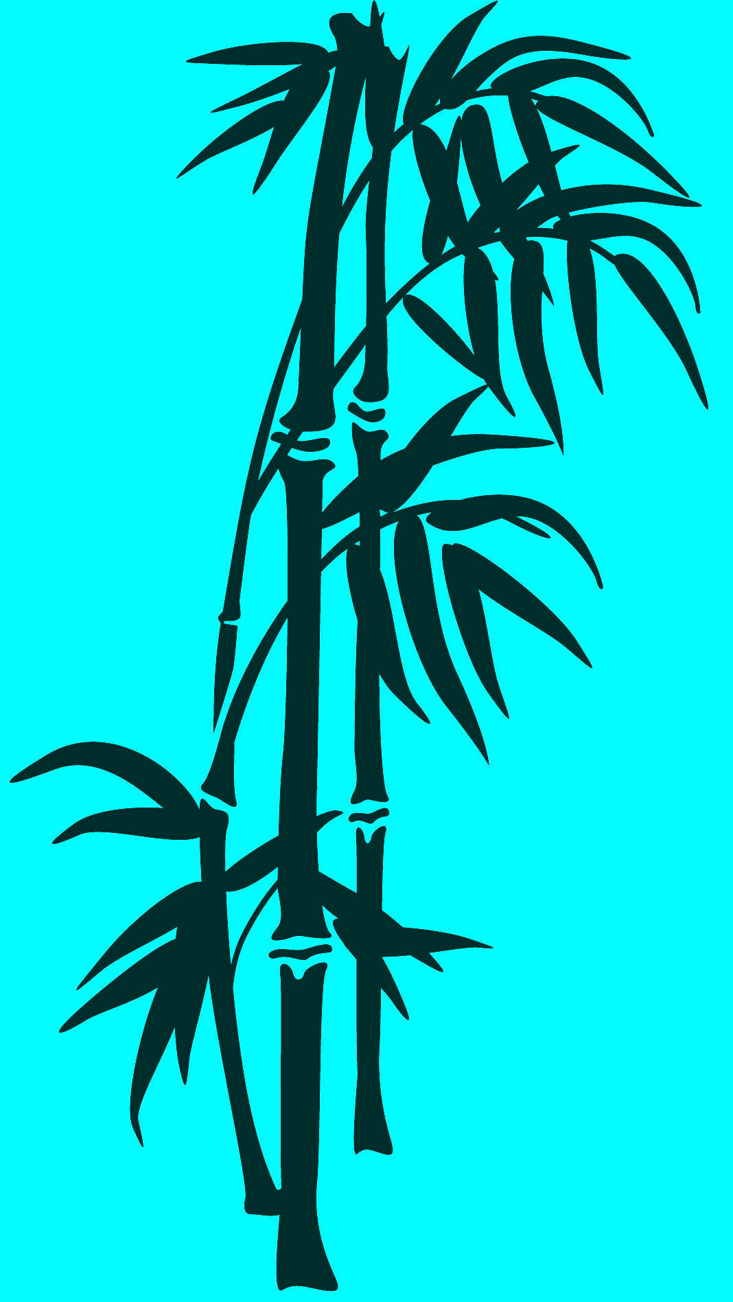 left palm tree image