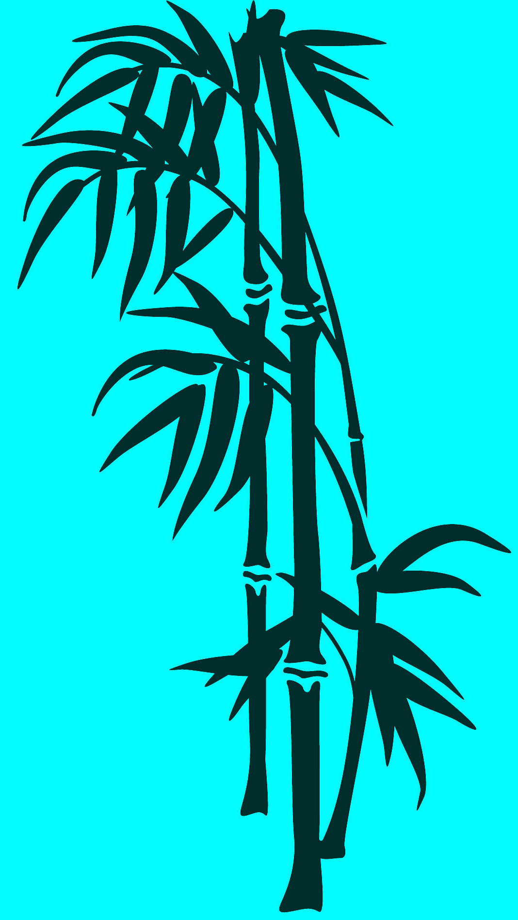 right palm tree image